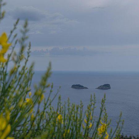 Villa La Pace 상트아그넬로 외부 사진