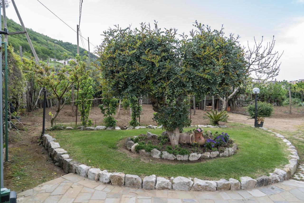 Villa La Pace 상트아그넬로 외부 사진